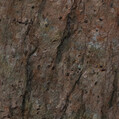 Cooper Red Quartz + 4 235,-